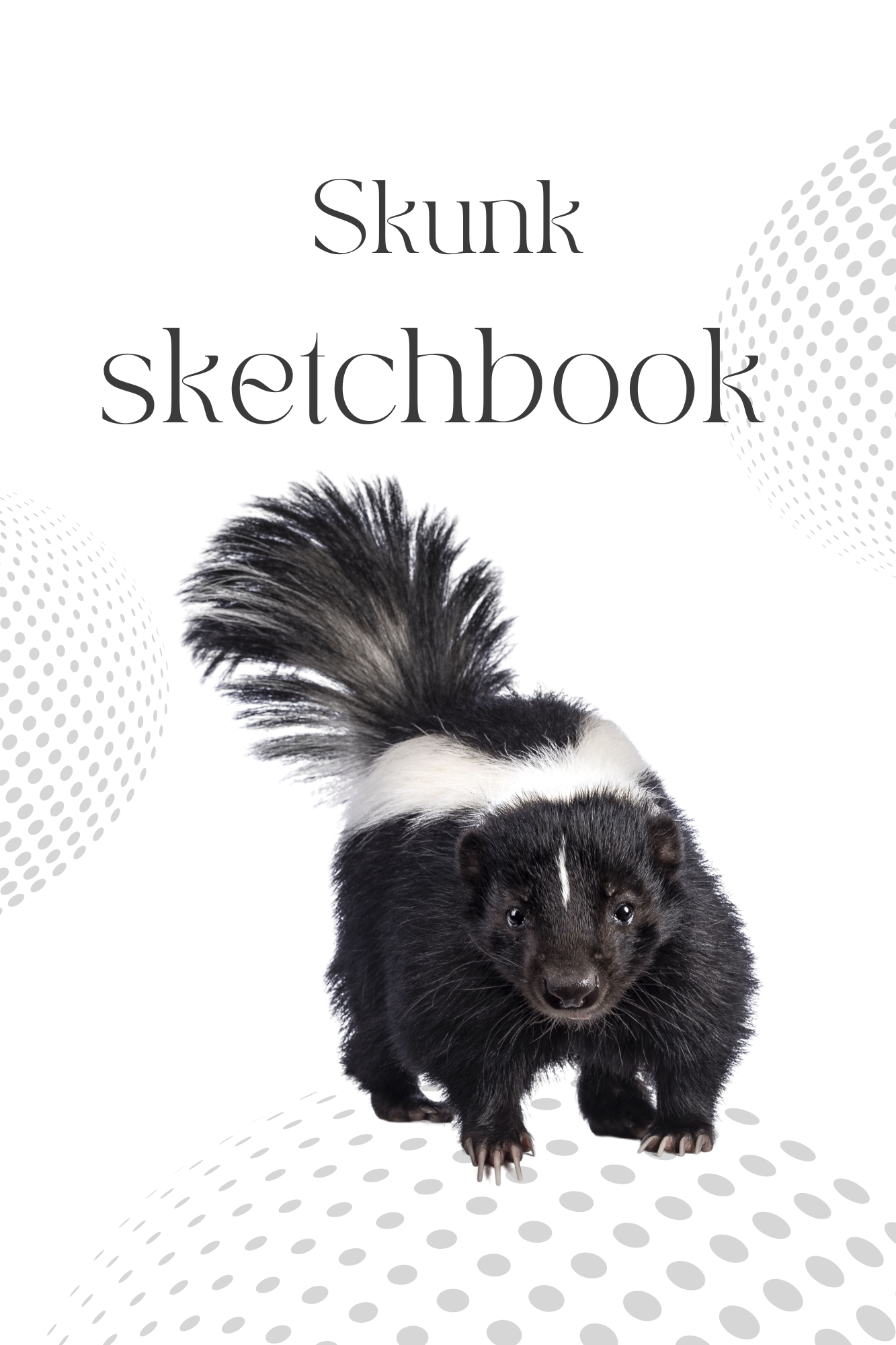 18-Skunk-SKETCHBOOK
