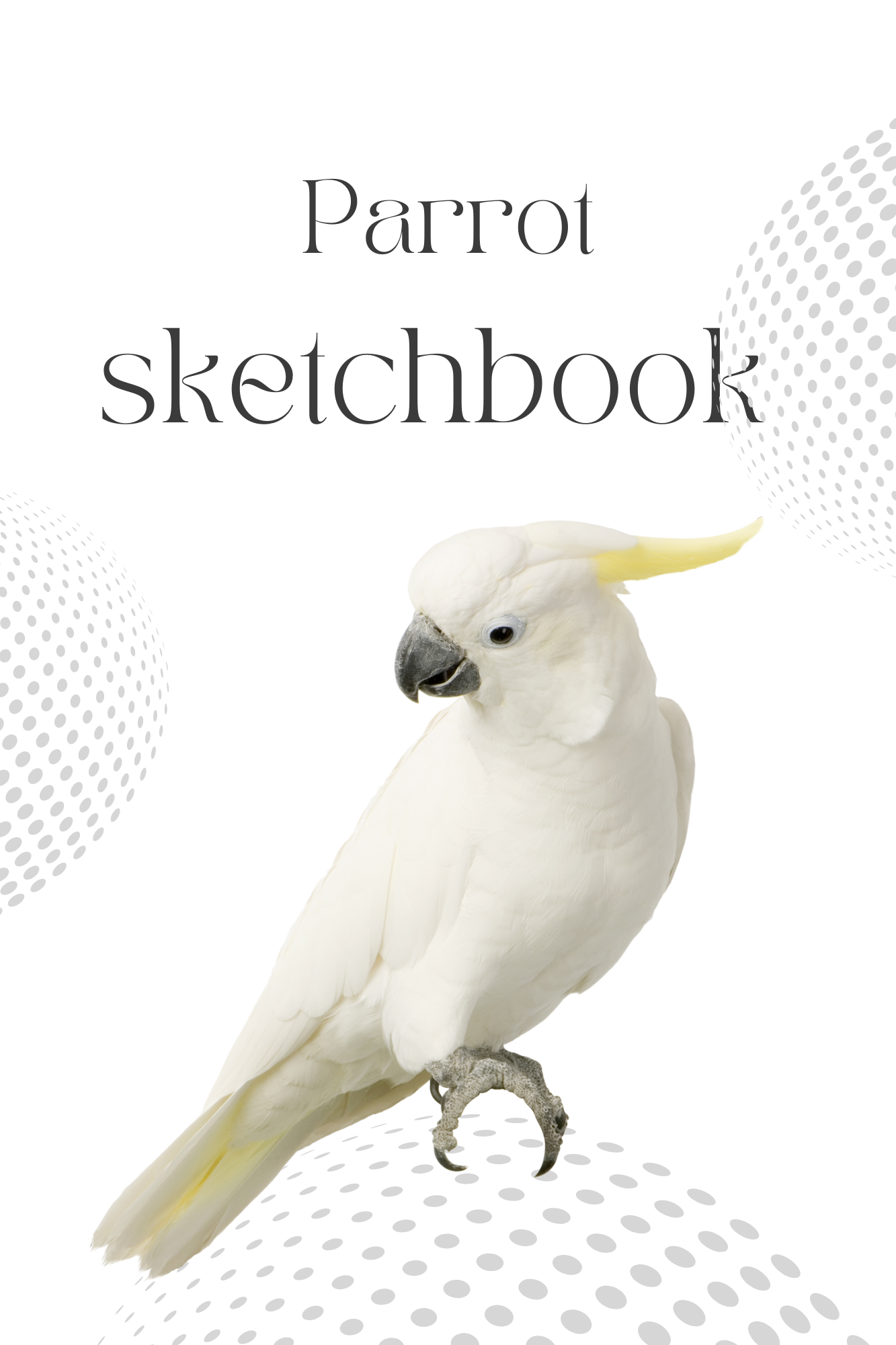 24-Parrot-SKETCHBOOK